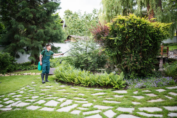 Best Best Pest Control Companies  in Fort Walton Beach, FL