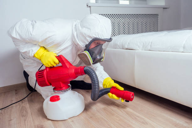 Pest Prevention Services in Fort Walton Beach, FL