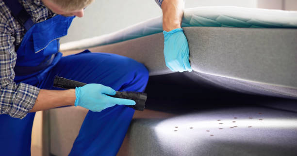 Best Wasp Removal Services  in Fort Walton Beach, FL