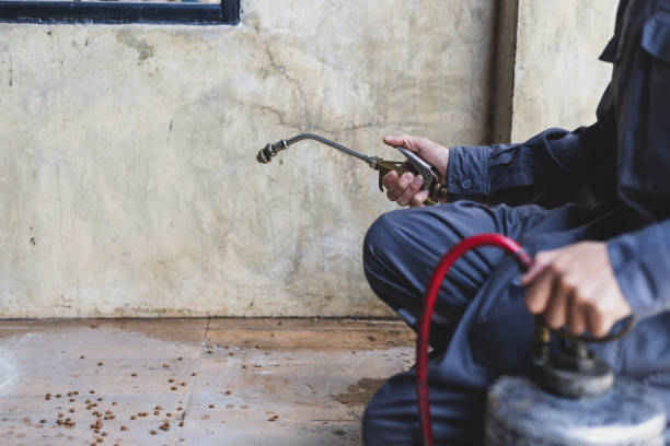 Best Pest Removal Services  in Fort Walton Beach, FL